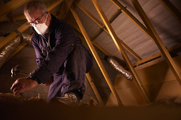 Best Insulation Installation Services in Wood River, NE